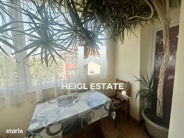 Apartament cu 3 camere in Calea Lipovei - 3