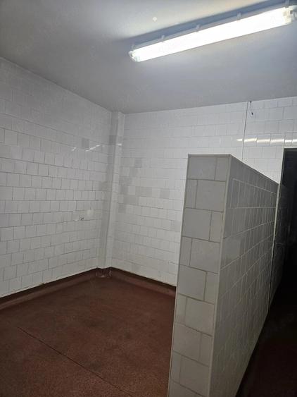 Spațiu comercial, de 500 mp, în Lizeanu