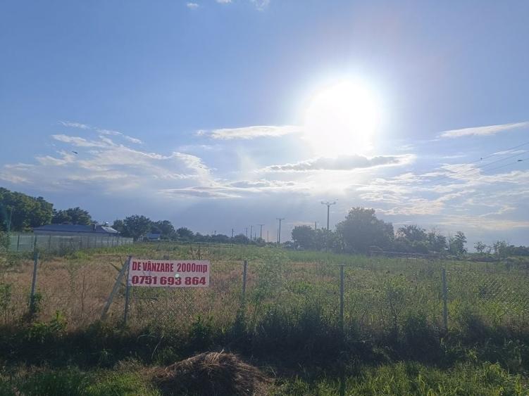 Spațiu comercial, în Romanu