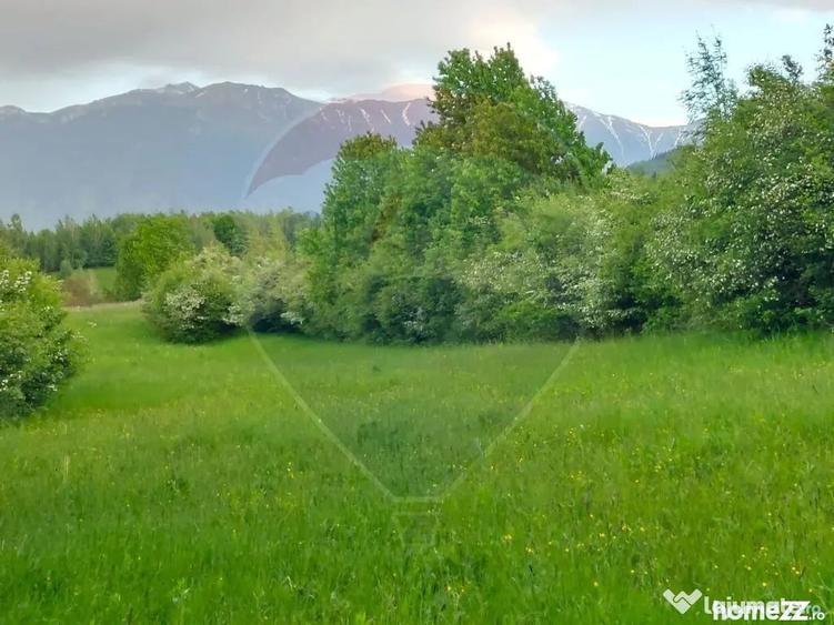 Teren în Tohănița