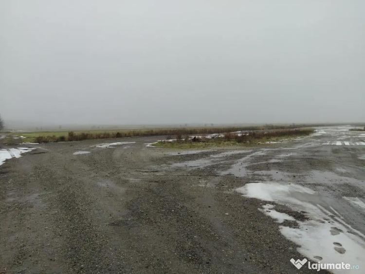 Teren de 1000 mp, în Cârcea