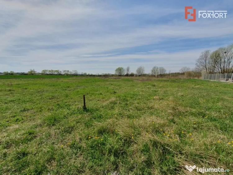 Teren de 504 mp, în Utvin