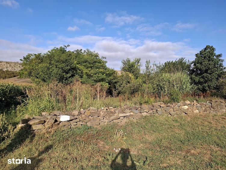 Teren de 4000 mp, în Grădina