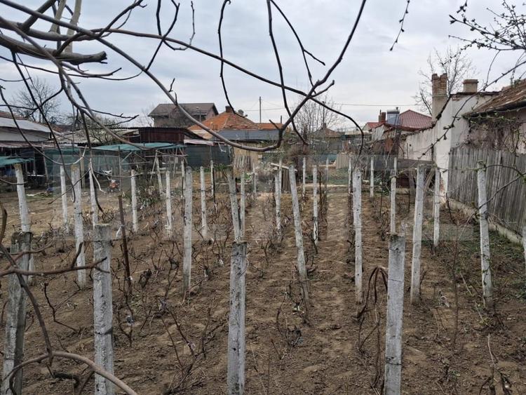 Teren Construcții intravilan de 400 mp, în Lascăr Catargiu