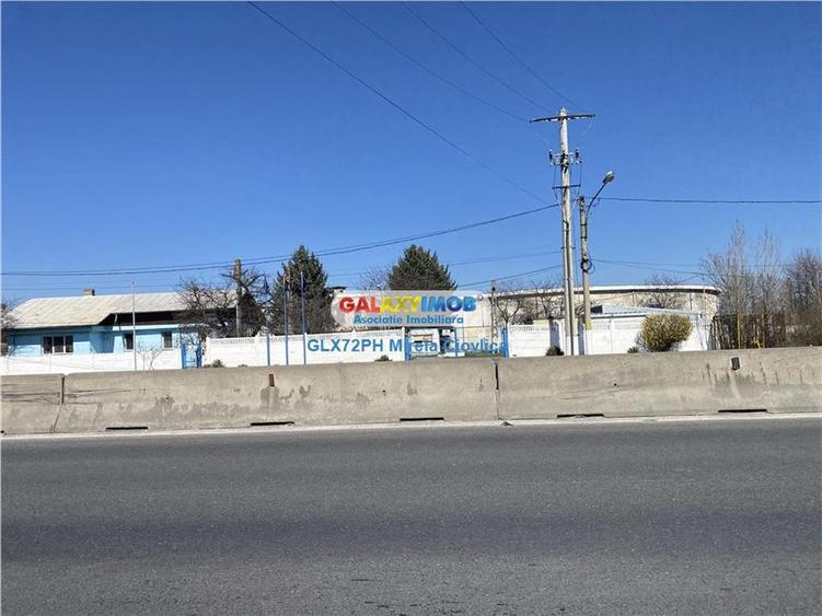 Teren Construcții intravilan de 98000 mp, în Păulești