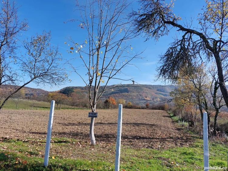 Teren de 4316 mp, în Fârdea
