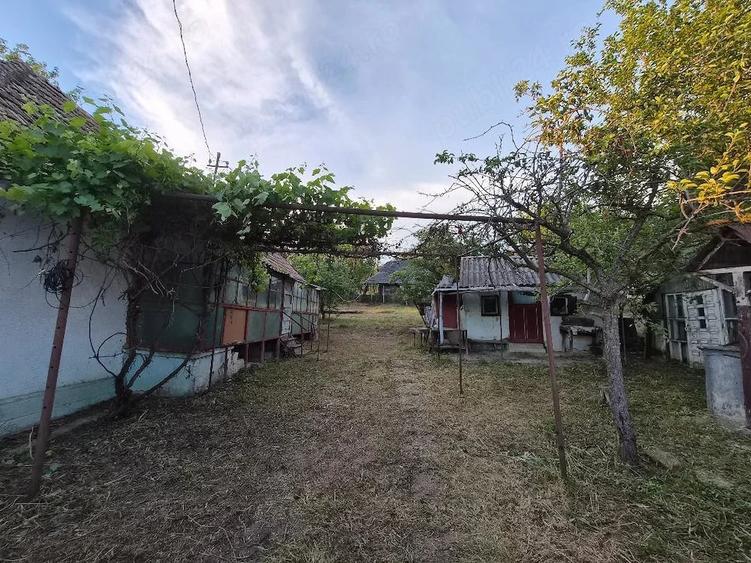 Casă cu Teren 800 Mp în Dăbâca