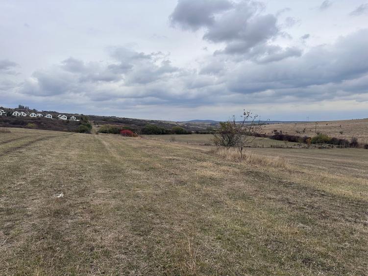 Teren Construcții intravilan de 3700 mp, în Daia