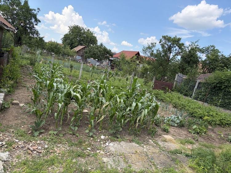 Casă cu 4 camere în Mihai Viteazu