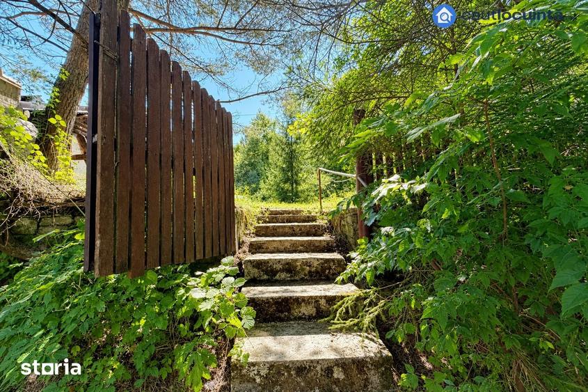 Casă cu Teren 300 Mp în Valea Doftanei
