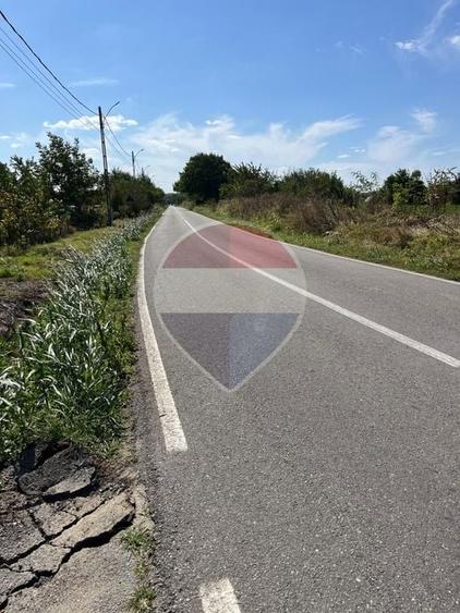 Teren agricol intravilan de 4000 mp, în Crivăț