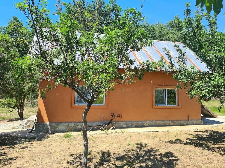Casă cu Teren 13800 Mp în Central