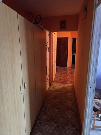 Apartament cu 3 camere decomandat în Stana
