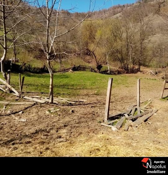 Teren intravilan de 955 mp, în Sartăș