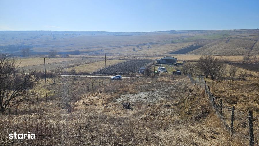 Teren de 5665 mp, în Gheorgheni