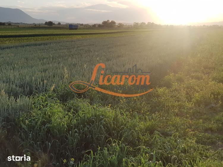 Teren de 4600 mp, în Stupini