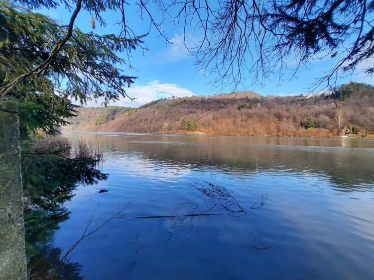 Teren intravilan de 2961 mp, în Alexandru cel Bun