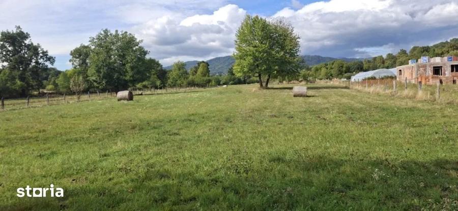 Teren de vanzare intravilan Bistra Muresului 4915 mp - 5