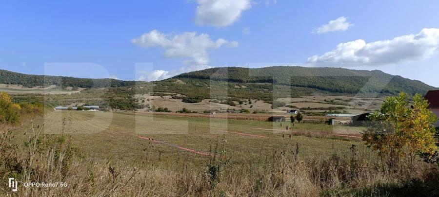 Teren Construcții intravilan de 15700 mp, în Industrială