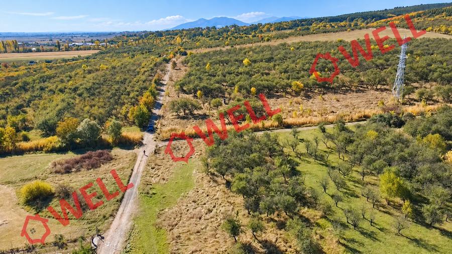 Teren extravilan de 950 mp, în Nord