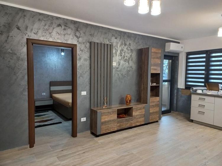 Apartament inchiriat Bd. Dem Radulescu - 8