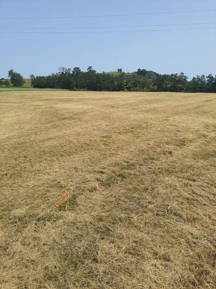 Teren agricol intravilan de 60000 mp, în Copalnic-Mănăștur