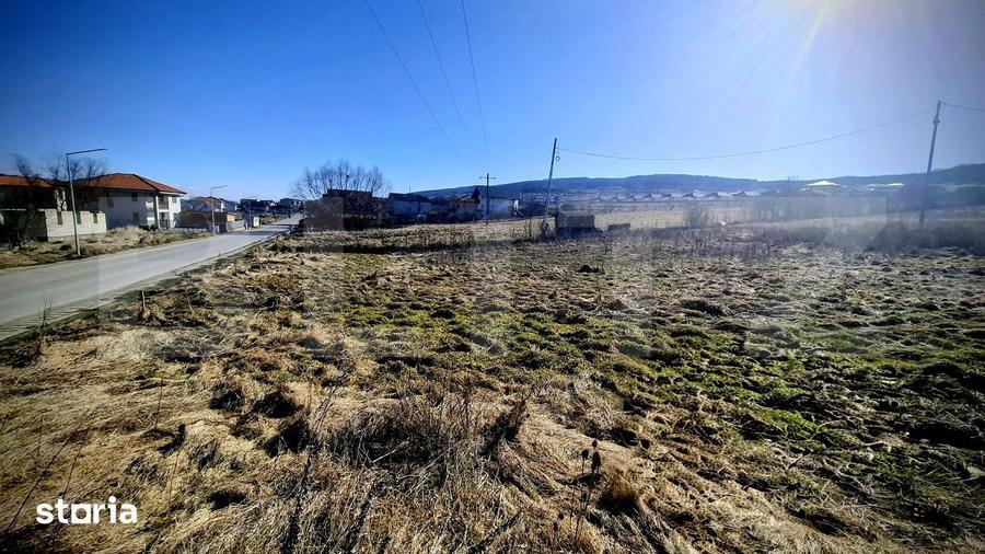 Teren de 556 mp, în Chinteni