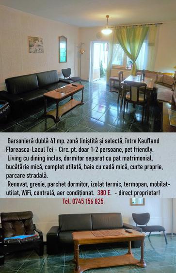 Apartament cu 2 camere nedecomandat în Lacul Tei