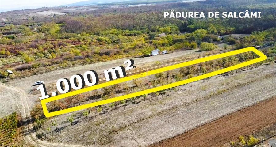 Teren Construcții intravilan de 1000 mp, în Sud