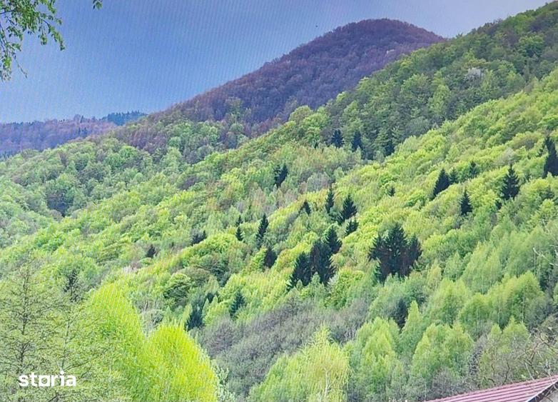 Casă cu 10 camere cu Teren 1000 Mp în Cerbăl