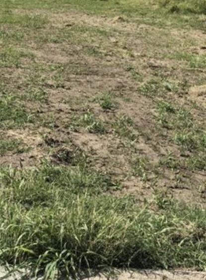 Teren agricol intravilan de 16000 mp, în Periferie