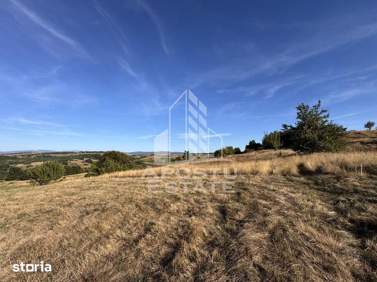Teren de 50000 mp, în Teliucu Inferior
