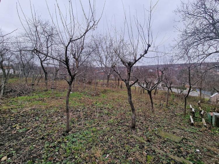 Casă cu Teren 1400 Mp în Central