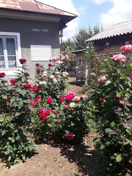 Casă cu 3 camere în Central
