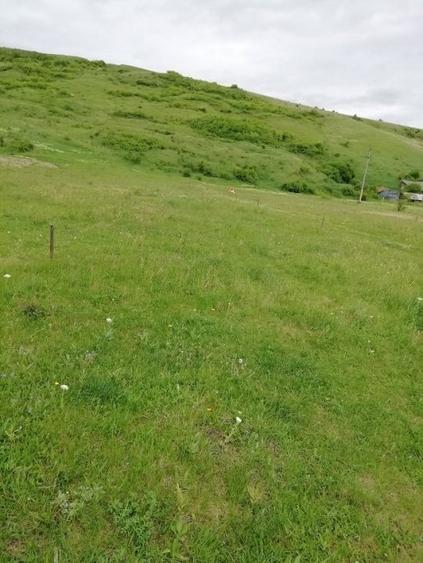 Teren Construcții intravilan de 1350 mp, în Dărmănești