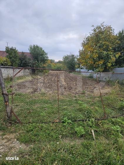 Teren intravilan, Stanesti, 3000 mp - 1