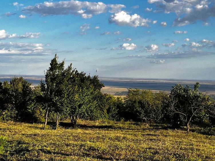 Teren de 7593 mp, în Pietroasele
