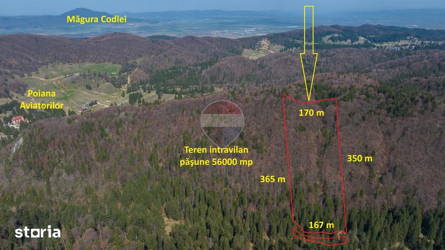 Teren intravilan, 56000 mp, Poiana Brasov - 1