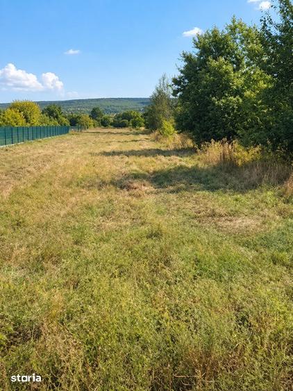 Teren de vanzare, zona industriala Maracineni - 1