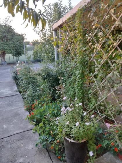 Casă cu 4 camere cu Teren 750 Mp în Central