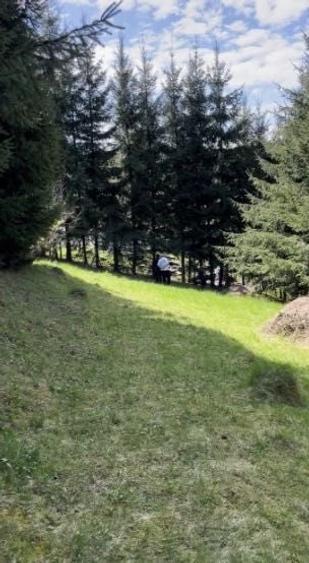 Teren de 26000 mp, în Dealu Negru