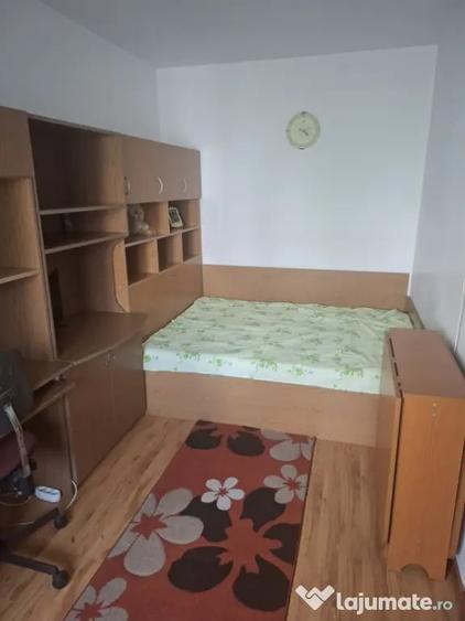 Apartament cu 2 camere semidecomandat în Valea Rosie