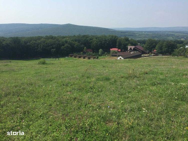 Teren Pietrarie, langa padure, vedere minunata, 1100 mp - 3