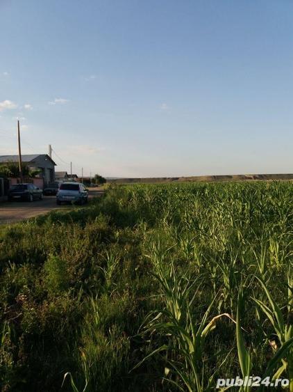 Teren de 2500 mp, în Mărăcineni