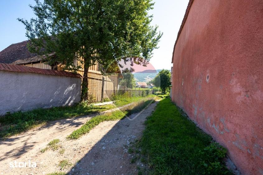 Teren de 1620 mp, în Comana