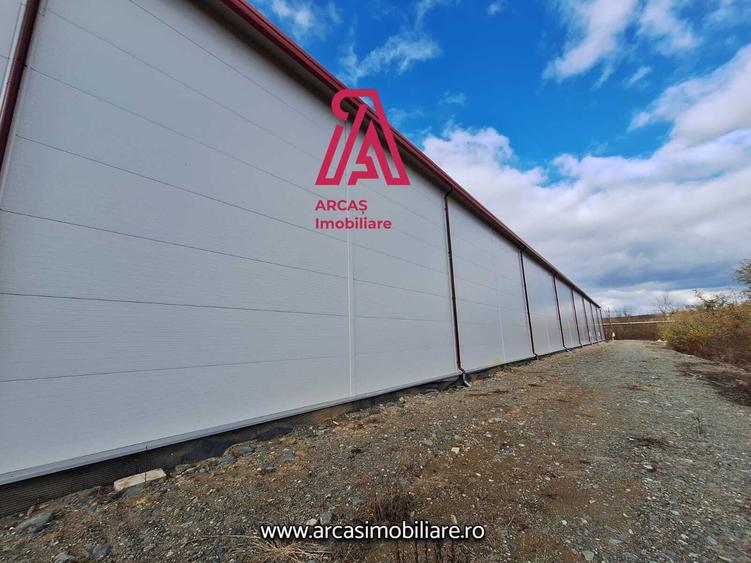 Spațiu industrial, de 6,857 mp, în Mârșa