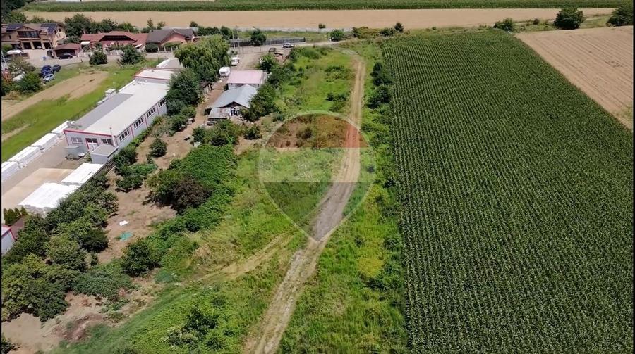 Teren Construcții intravilan de 5029 mp, în Mihai Bravu