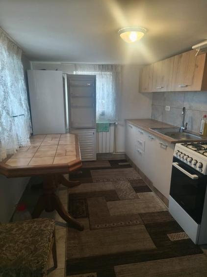 Casă individuală cu 2 camere cu Teren 5000 Mp în Horodnic