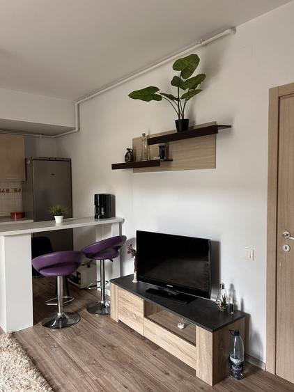 Garsoniera de inchiriat Otopeni-Bridge Residence - 3