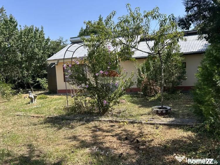 Casă cu 5 camere cu Teren 1129 Mp în Cunești